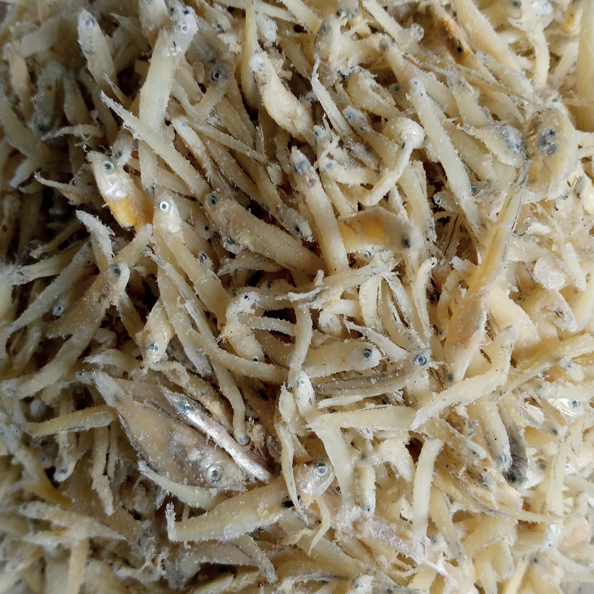 Ikan Teri Nasi 60 Gram