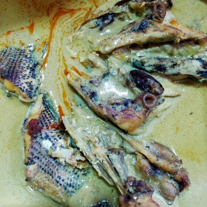 Ikan Toman Bagian Badan Dan Ekor