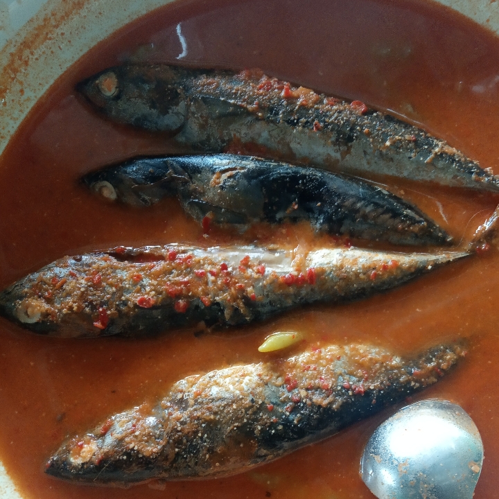 Ikan Tongkol