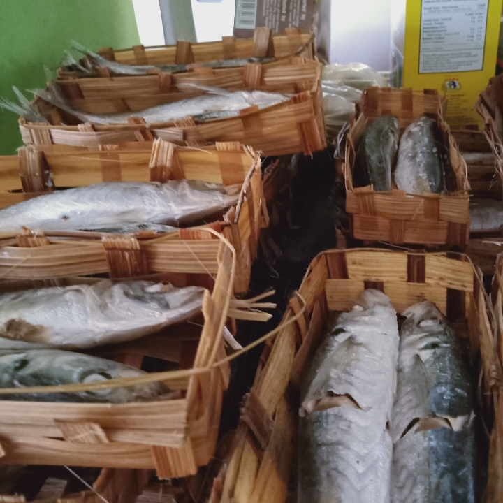 Ikan Tongkol