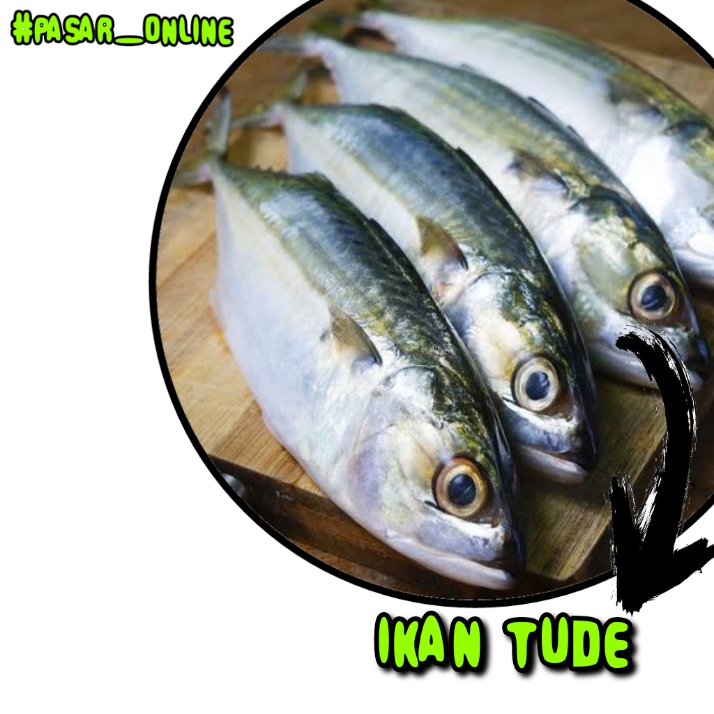 Ikan Tude 1kg