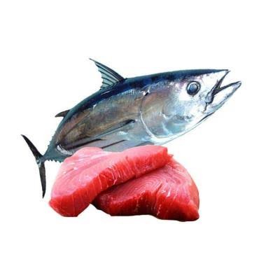 Ikan Tuna Baby