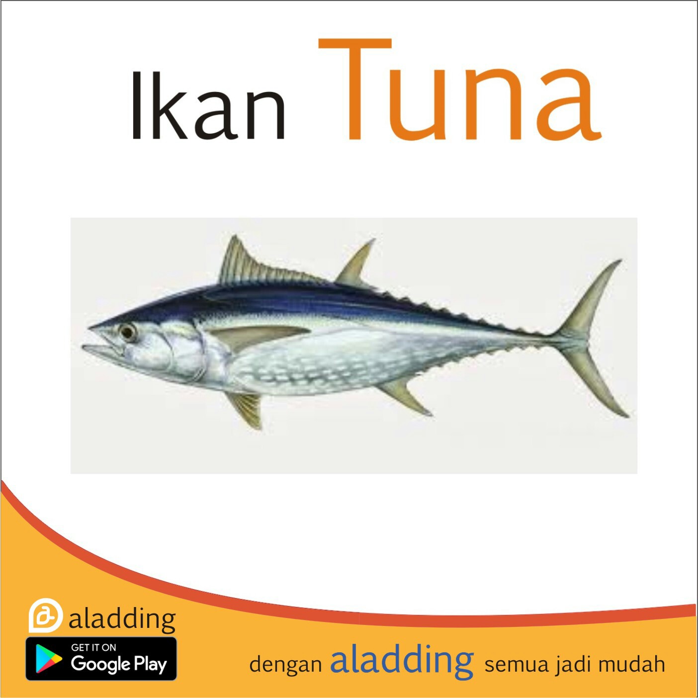 Ikan Tuna 1kg