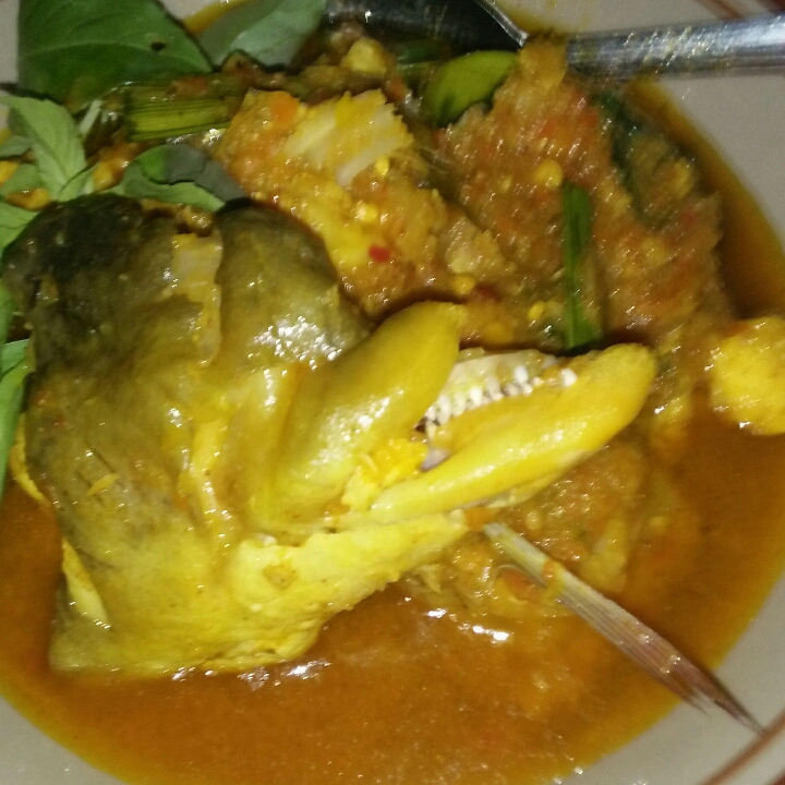 Ikan Woku Ikan Merah