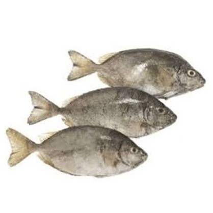 Ikan lai-lai