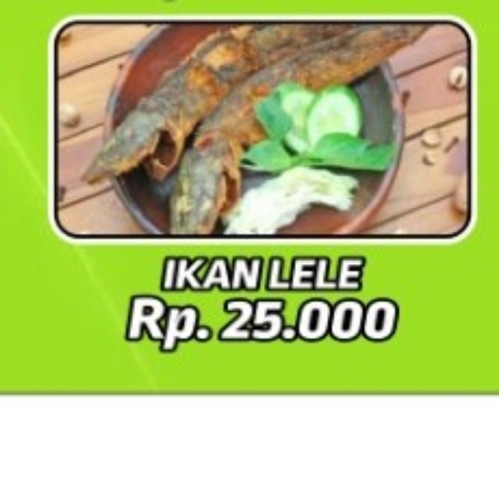 Nasi Iken Lele Goreng