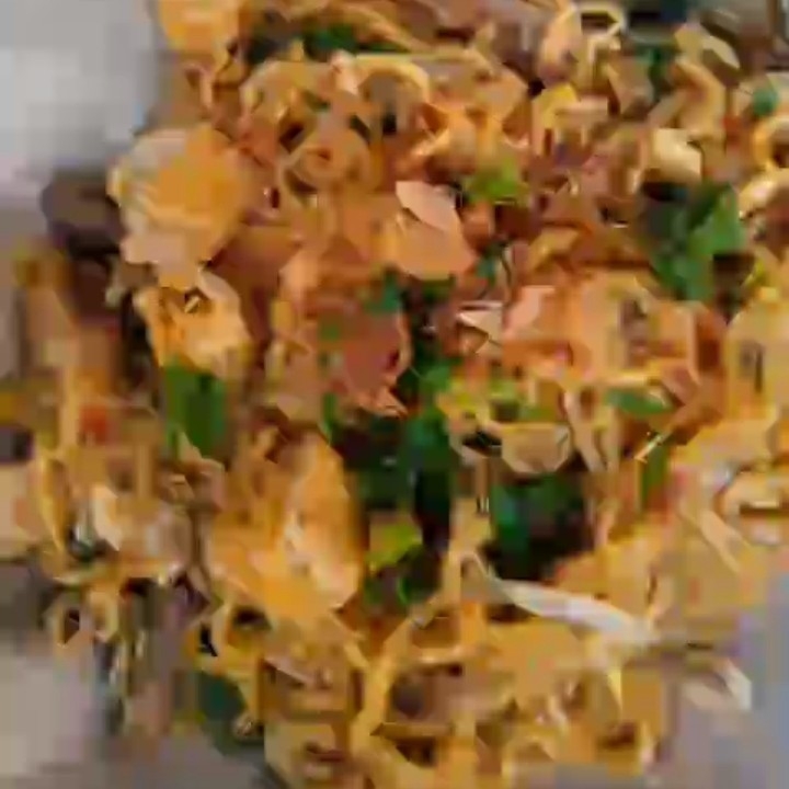 Indomie Goreng Tetel