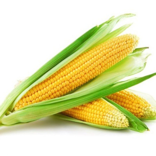 JAGUNG HAWAI