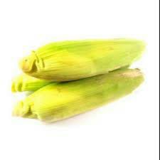 JAGUNG KULIT
