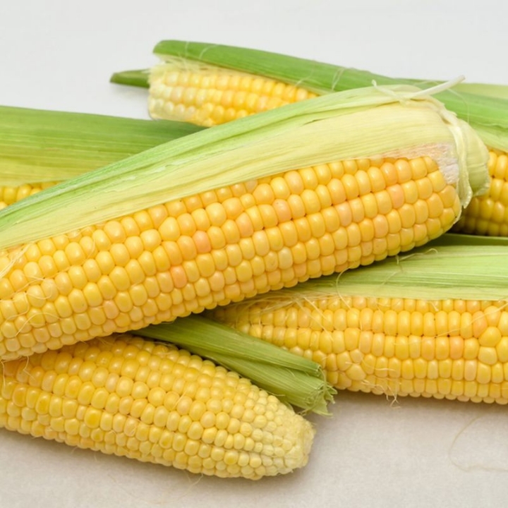 JAGUNG MANIS 
