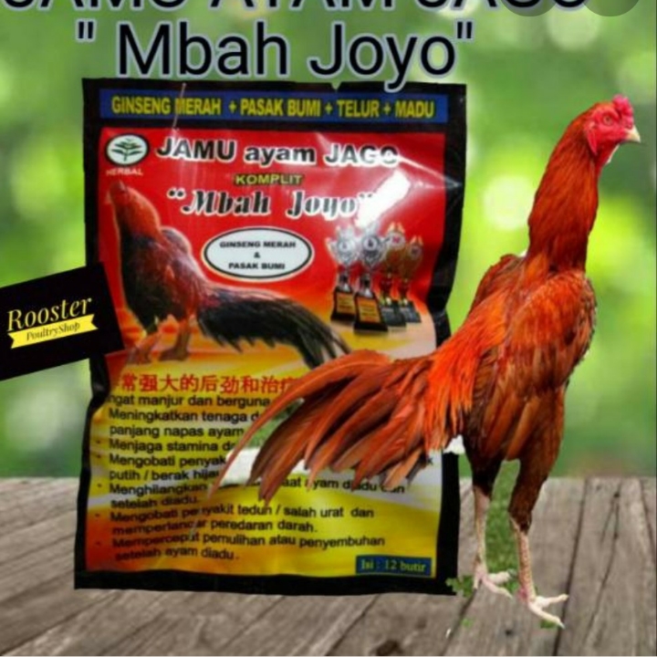 JAMU AYAM JAGO Isi 12butir