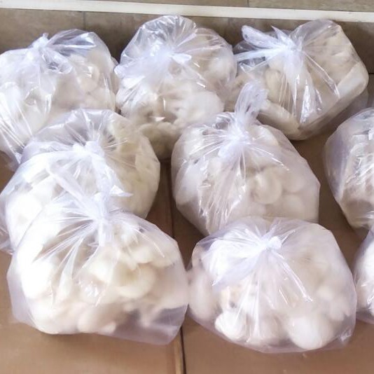 JAMUR TIRAM GROSIR KEMASAN 5 KG