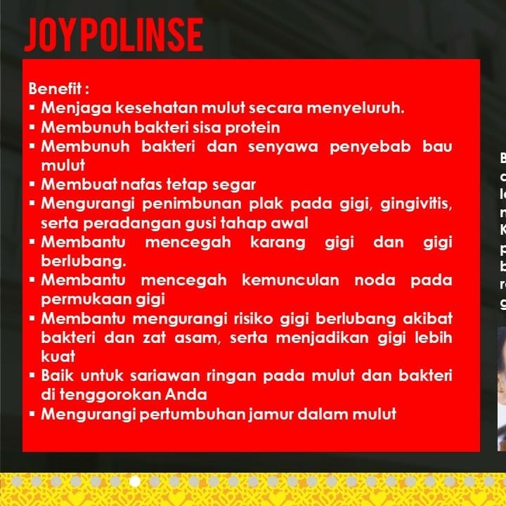 JOYPOLINSE 2