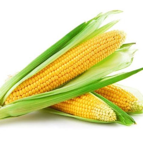 Jagung