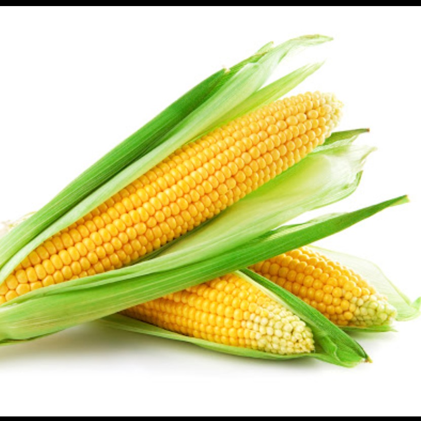 Jagung