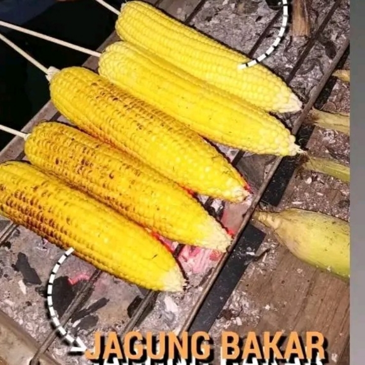 JAGUNG BAKAR ORIGINAL  3