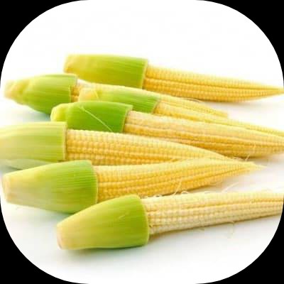 Jagung Kecil