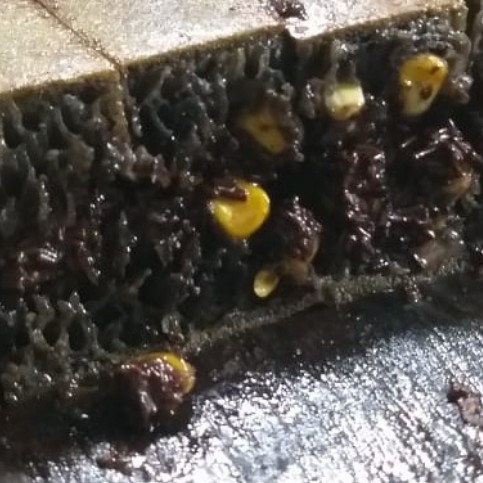 Jagung Keju Susu