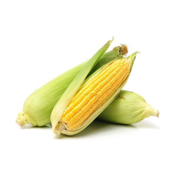 Jagung Manis