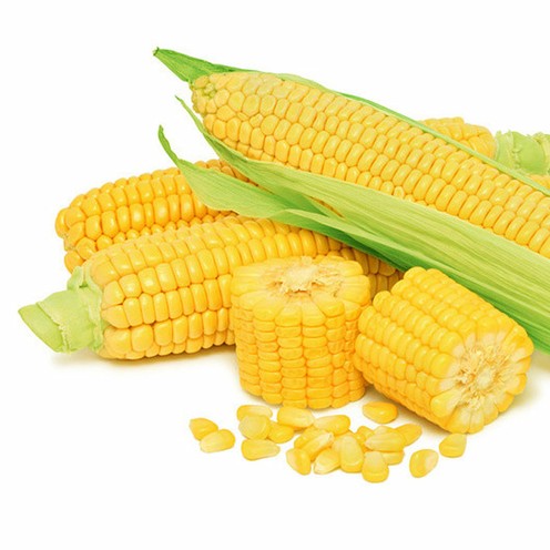 Jagung Manis