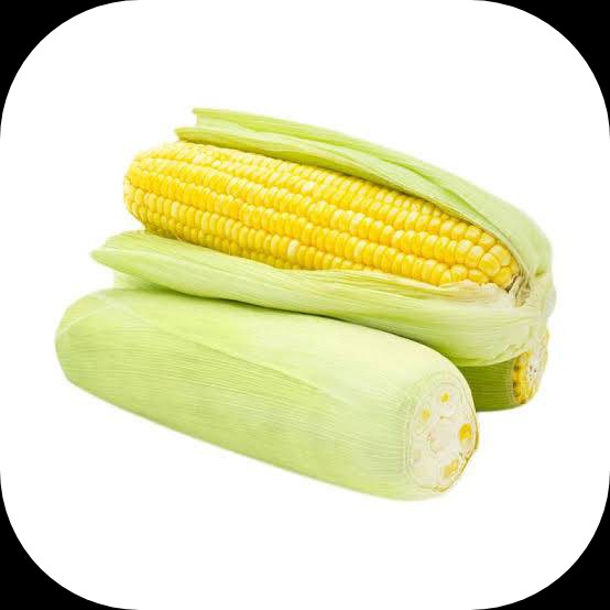Jagung Manis