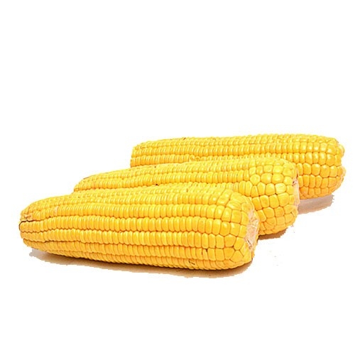 Jagung Manis - 1Kg