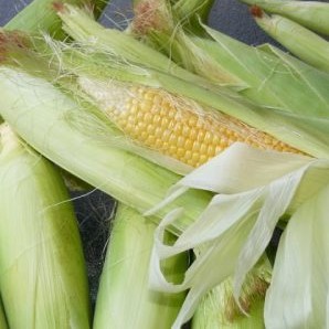 Jagung Mentah
