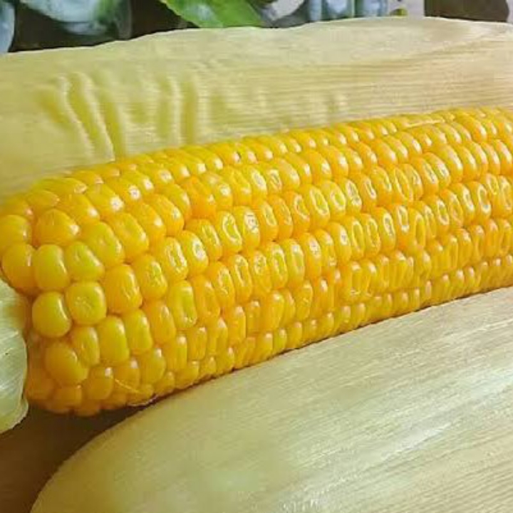 Jagung Rebus