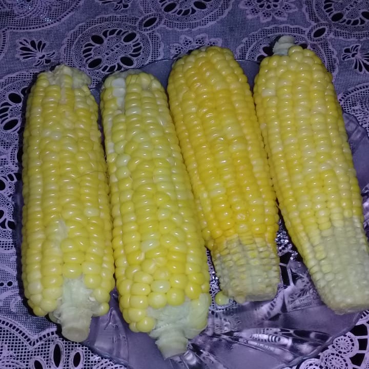 Jagung manis