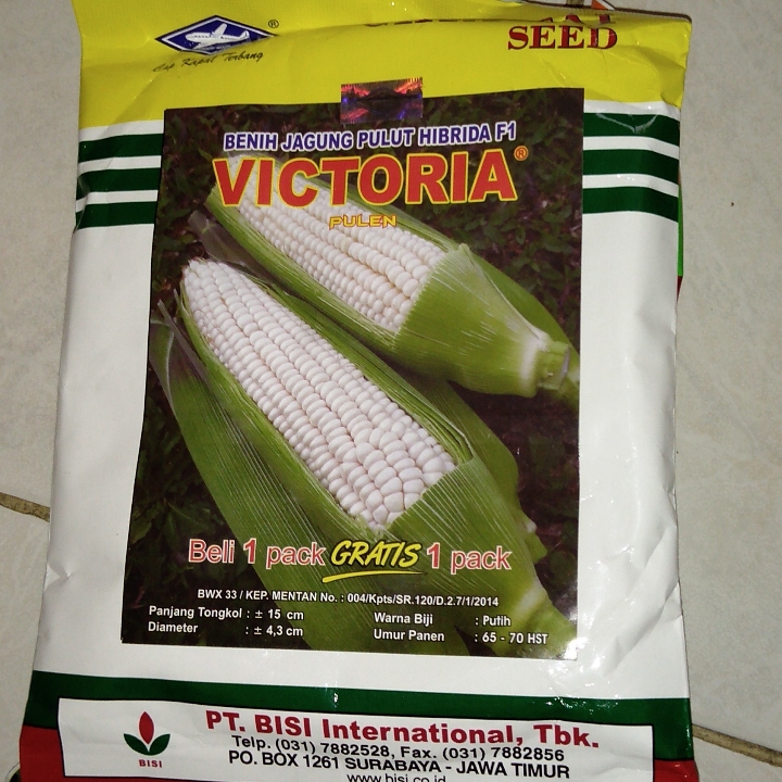 Jagung pulut Victoria