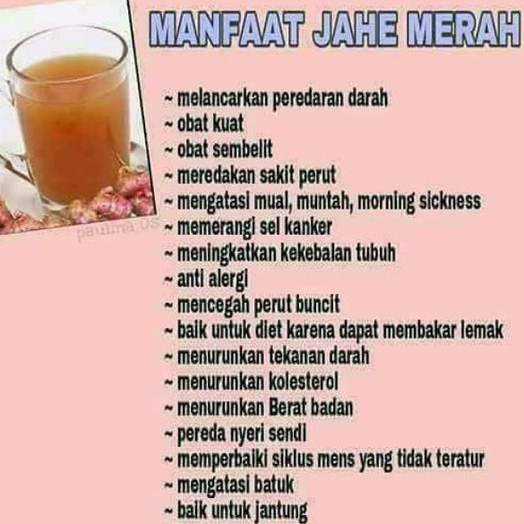 Jahe Merah