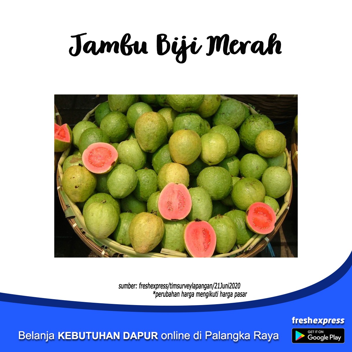 Jambu Biji Merah 1 Kg