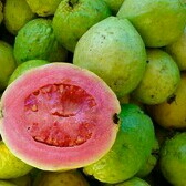 Jambu Biji