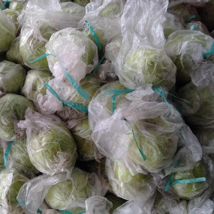Jambu Crystal