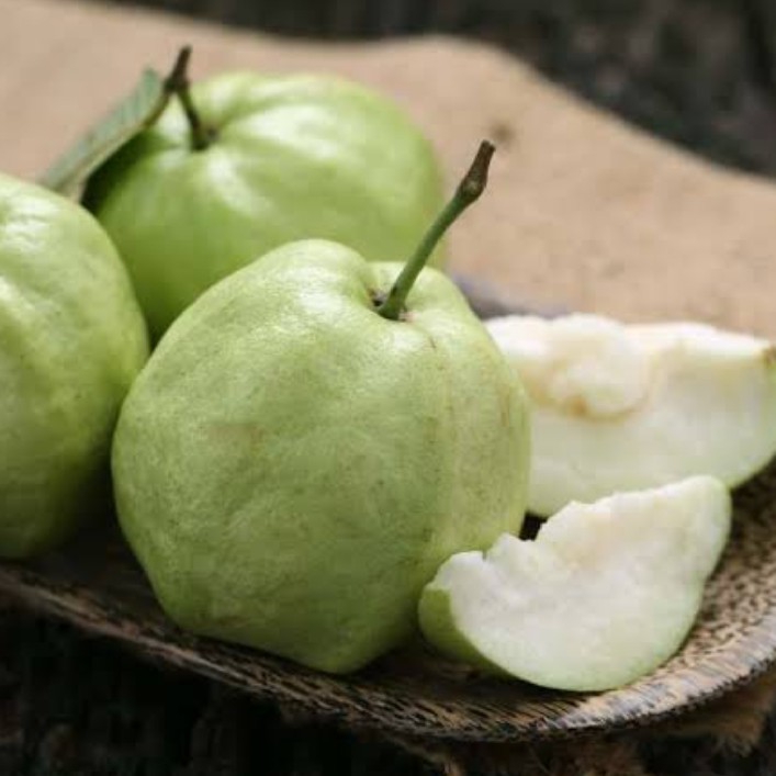 Jambu Kristal