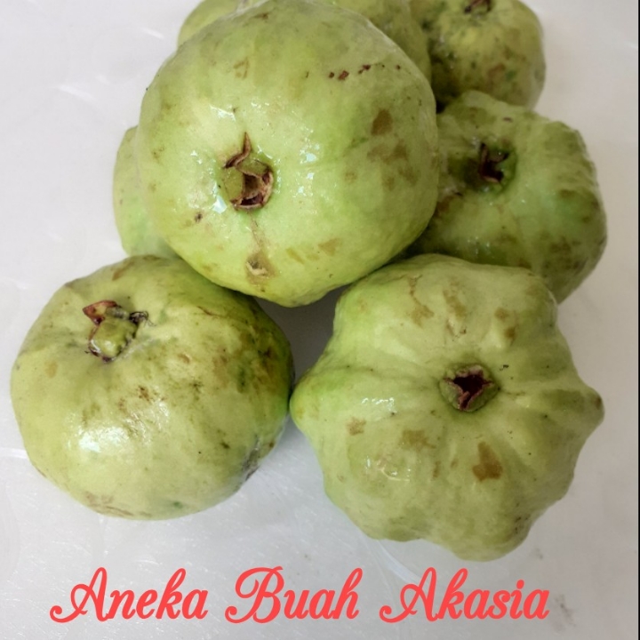 Jambu Kristal