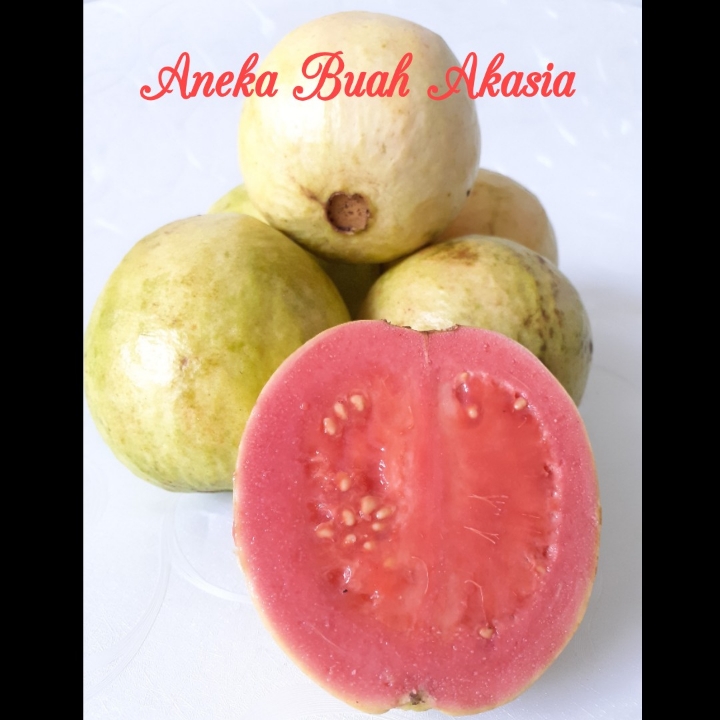Jambu Merah