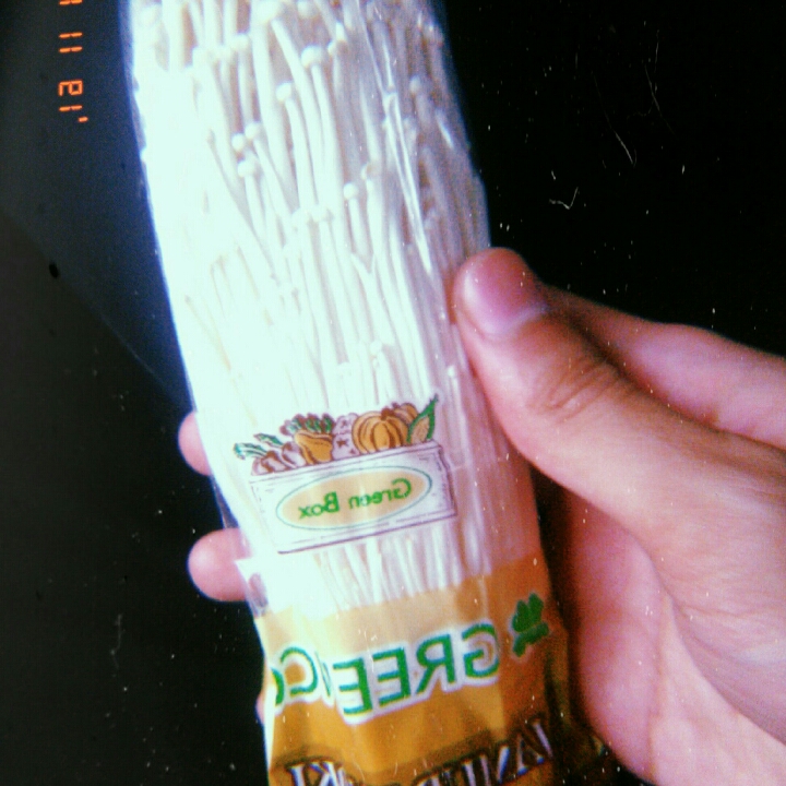 Jamur Enoki 