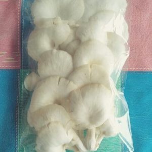 Jamur Tiram