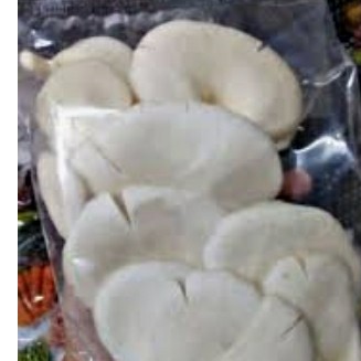 Jamur Tiram