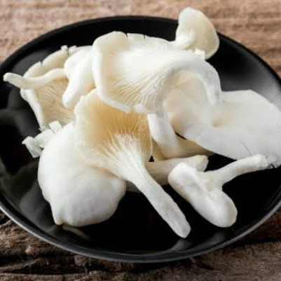 Jamur Tiram 500gr