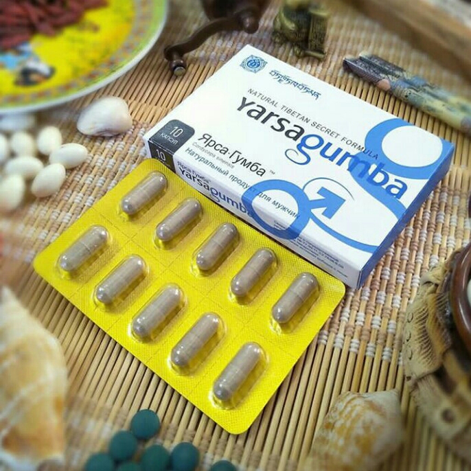 Jamur Yarsagumba Asli Obat Kuat Herbal Viagra Tibet Himalaya