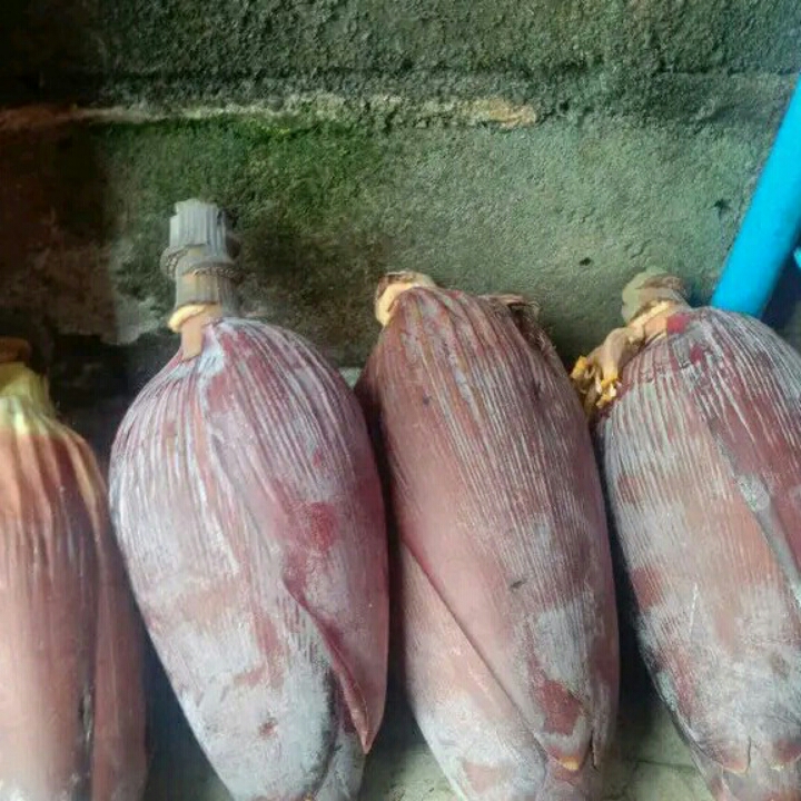 Jantung Pisang 