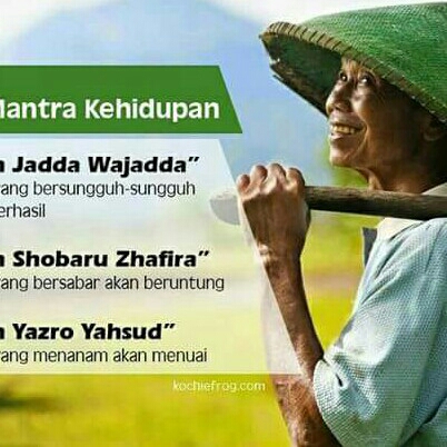 Jasa Pembimbing Tour