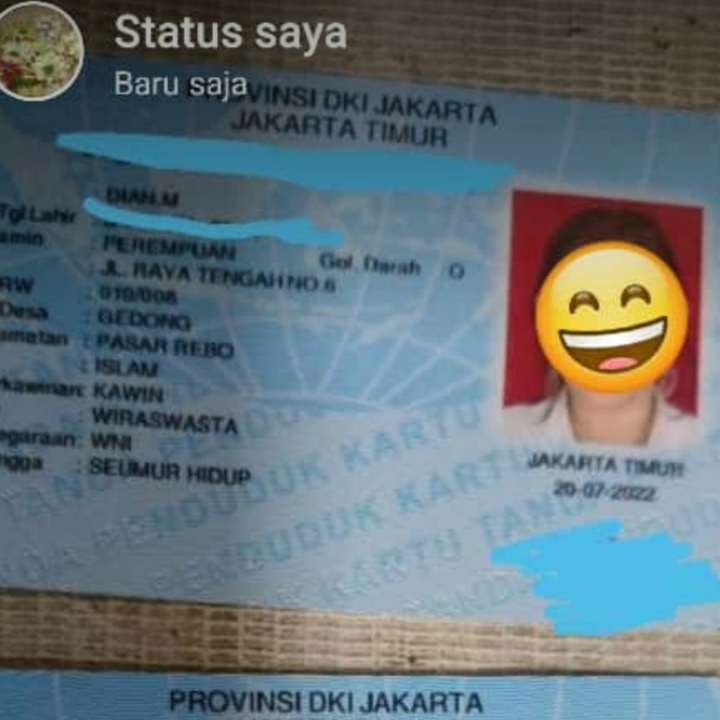 Jasa Pembuatan Ktp 