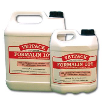 Jasa Suntik Formalin