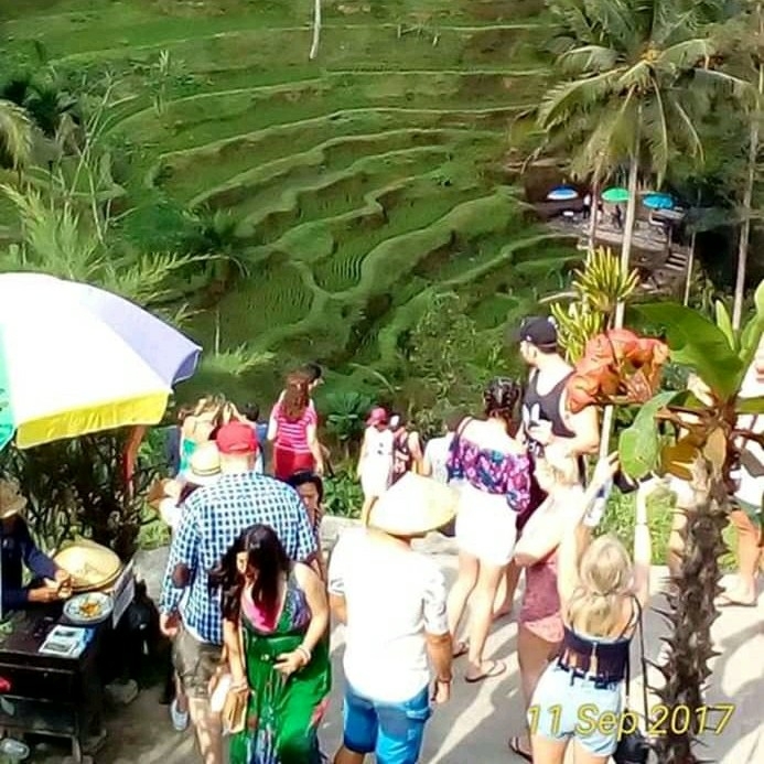 Jatiluweh Rice Terrace Tour