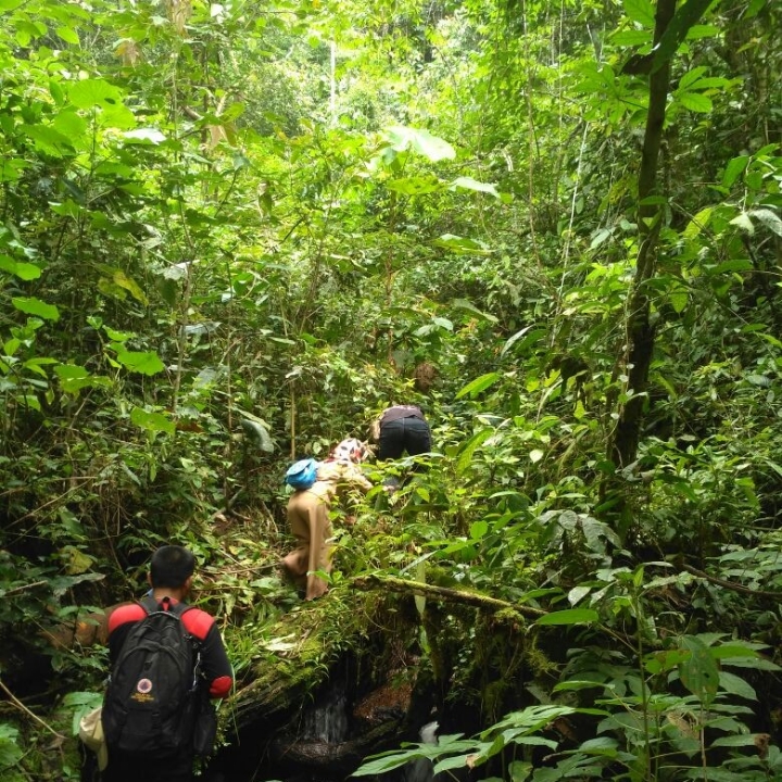 Jelajah Alam Hutan Wisata Rigis Jaya