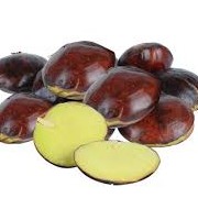 Jengkol