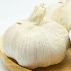 Bawang Merah Solok Dan Bawang Lainnya  2